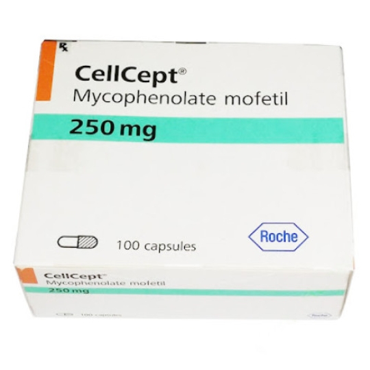 Cellcept 250mg: Thuốc dự phòng thải ghép thận